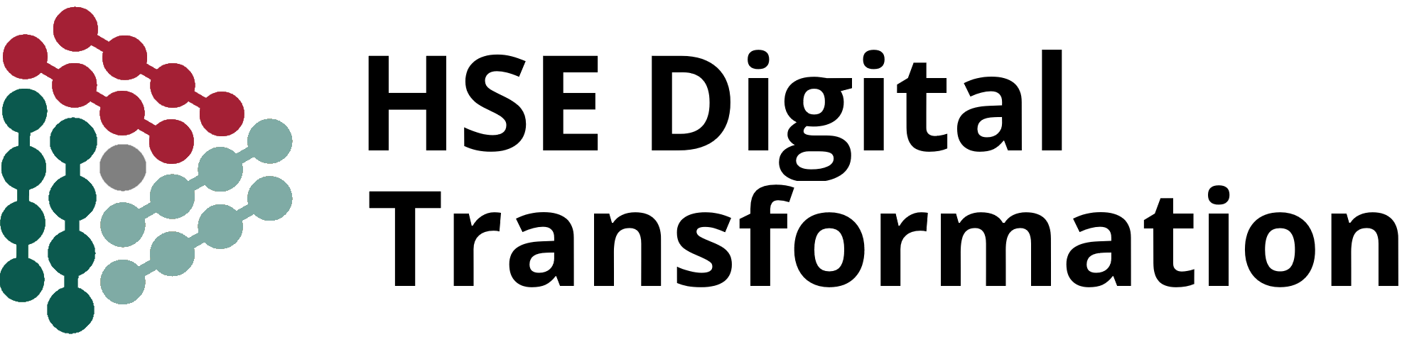 HSE Digital Transformation Logo v23